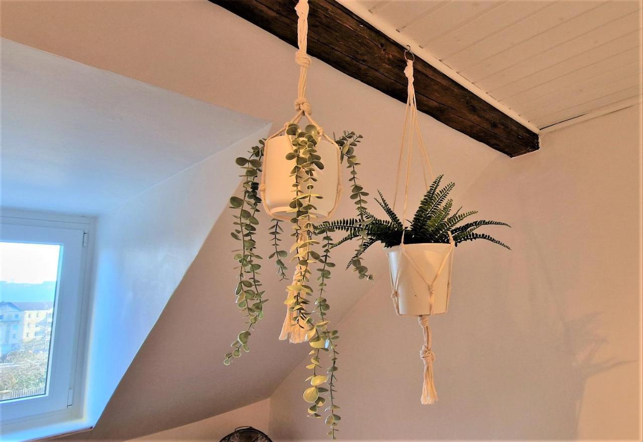Liebenswertes Apartment 10 Minuten Zur Altstadt Koblenz  Ngoại thất bức ảnh